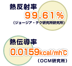 A[}tbNX摜
